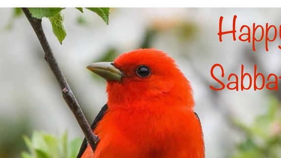 Worship Service Image