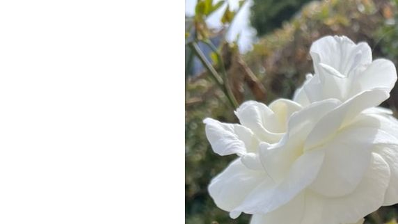 PRAYER CORNER "GIVING UP IS NOT AN OPTION" DAY 18