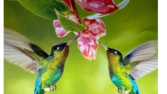 PRAYER CORNER  "ASK FOR IT!"