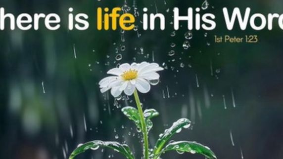 PRAYER CORNER "GIVING UP IS NOT AN OPTION" DAY 33
