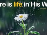 PRAYER CORNER "GIVING UP IS NOT AN OPTION" DAY 33 Image