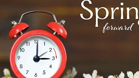 DAYLIGHT SAVINGS TIME