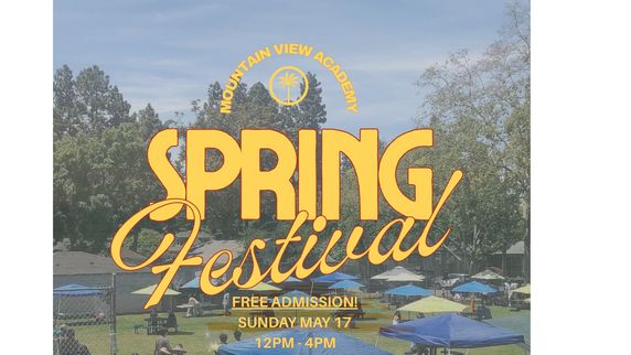 MVA Spring Festival
