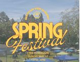 MVA Spring Festival Image