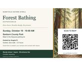 Sisters Stroll: Forest Bathing Image