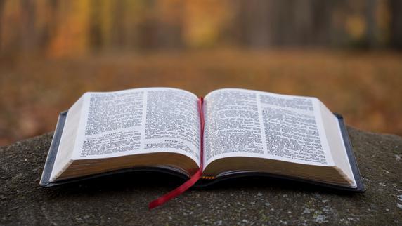 Various Sabbath School Groups and Live Streaming Worship